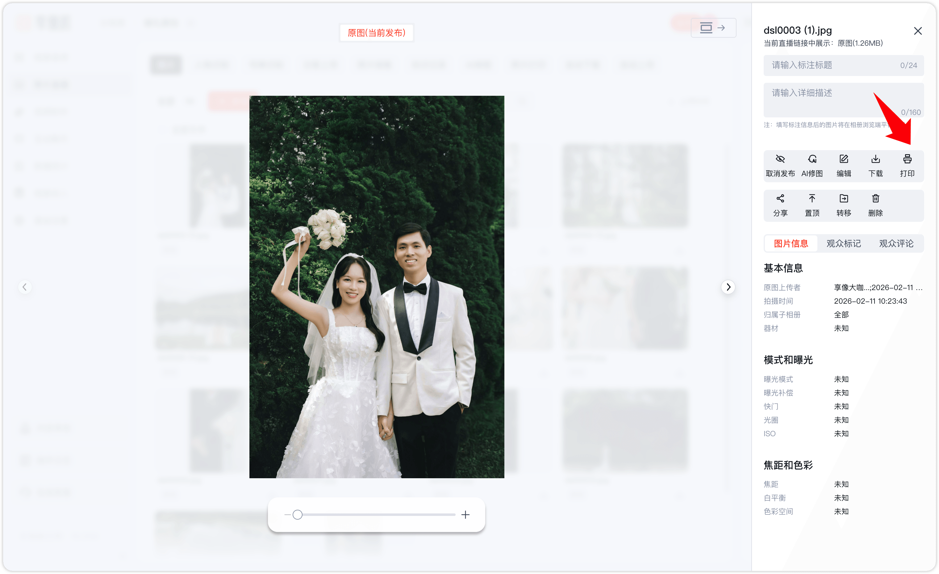 image-20260212210556318